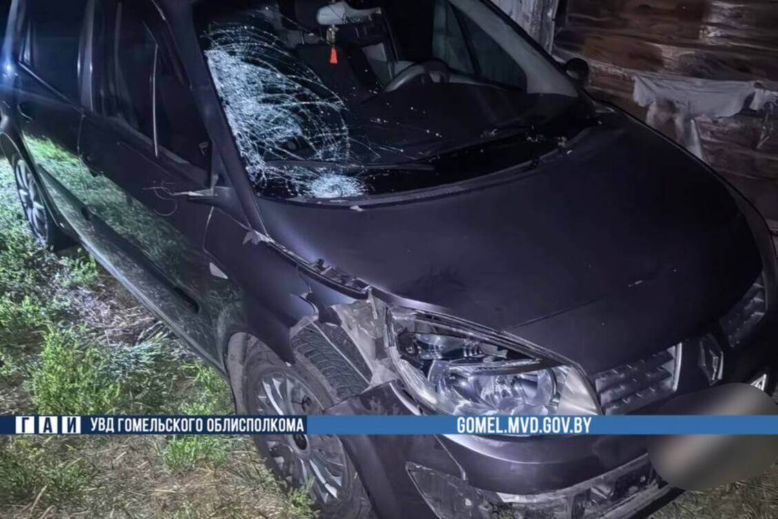 17-гадовы пешаход загінуў у ДТЗ пад Жлобінам, кіроўца аўтамабіля, які яго збіў, спрабаваў уцячы, але быў затрыманы
