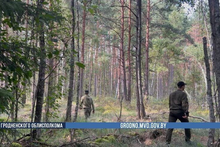Зніклы ў Гродзенскім раёне грыбнік знойдзены мёртвым