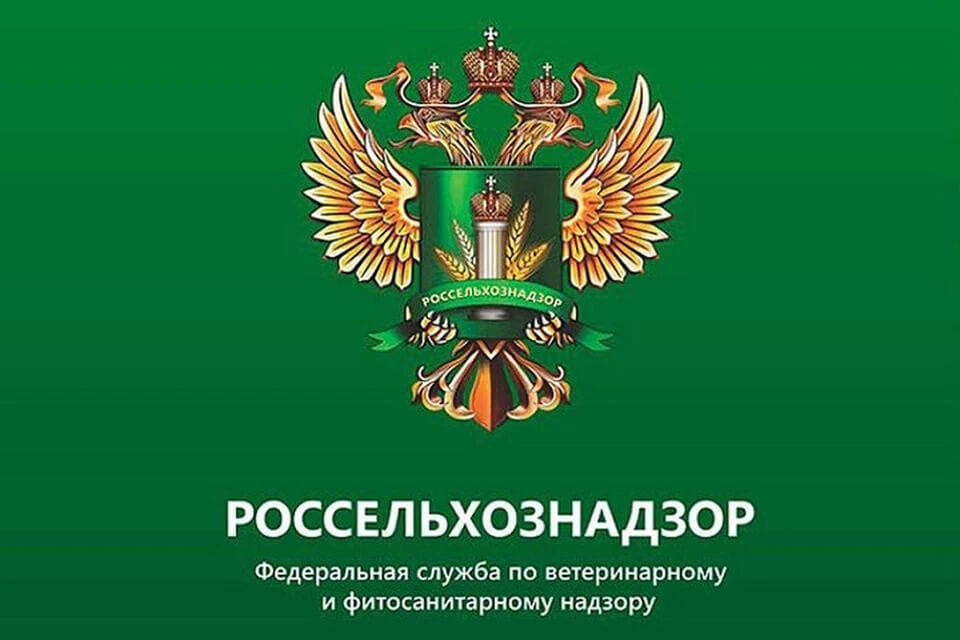 Россельхознадзор ограничил поставки в РФ продукции Слуцкого сыродельного комбината