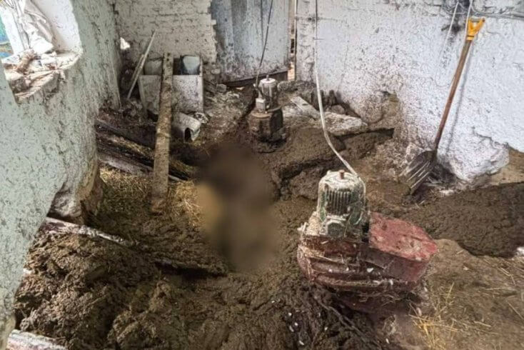 На молочно-товарной ферме в Добрушском районе погиб рабочий