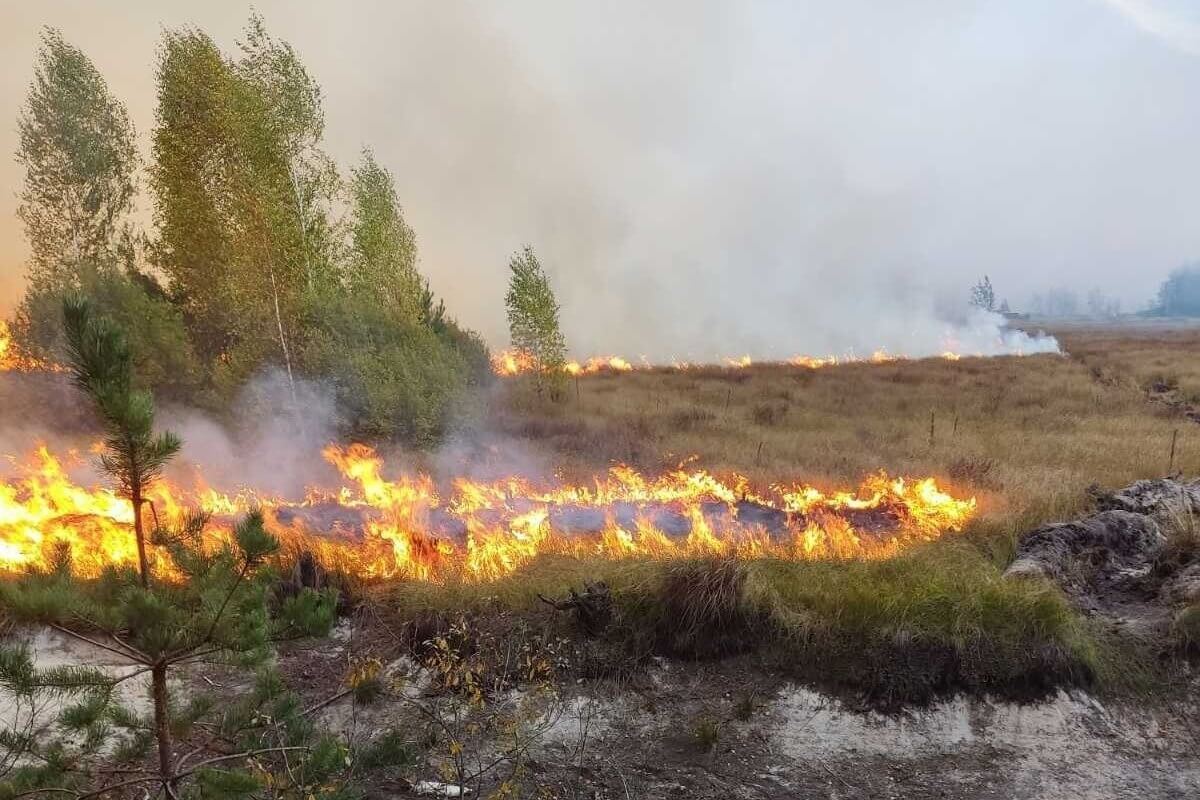 Мінлясгас паведаміў пра пажар на балоце ў Столінскім раёне
